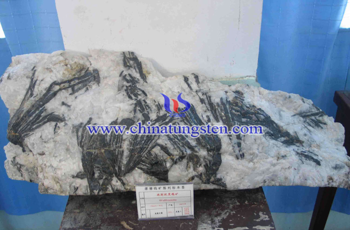 �u���V�DƬ