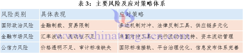 表3:主要風險及應對策略體系